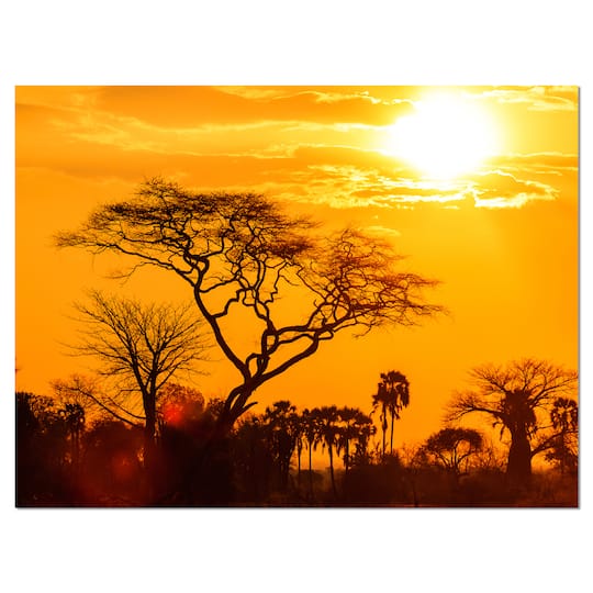 Designart - Orange Glow of African Sunset